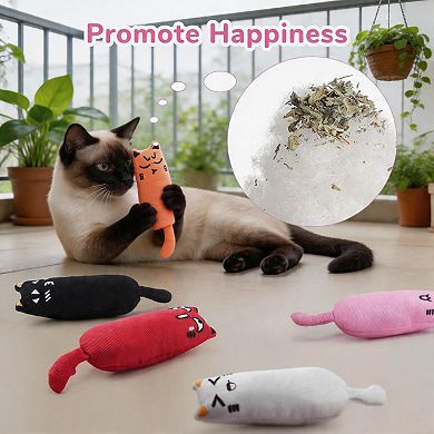 Splendid Frame 5Pcs Bite Resistant Catnip Toy