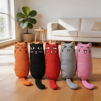 Splendid Frame 5Pcs Bite Resistant Catnip Toy