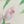 White Pink Green