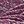 Pink Purple