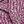 Pink Purple