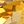 Genuine Citrine