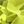 Genuine Peridot