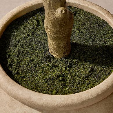 Artificial Olive Tree in Weighted Beige Ceramic Pot, Large Fake Plant for Home Decor - VeriNatural