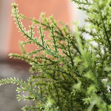UV-Resistant Artificial Cedar Trees for Outdoors, Faux Cypress Trees for Home Office Decor 2 PC
