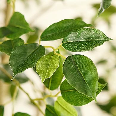 VeriNatural Ficus Artificial Tree in Plastic Pot, Fake Plants with Lush Tips for Indoor Home Decor