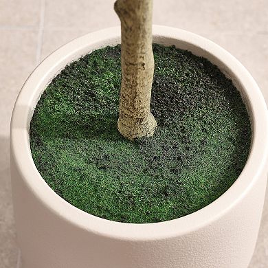 Artificial Ficus Tree in Oval White Pot, Pre Potted Faux Tree for Indoor Home Decor