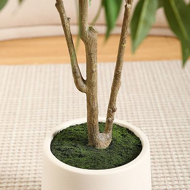 VeriNatural Artificial Eucalyptus Tree with White pLastic Pot, Pre Potted faux Tree for Home Decor