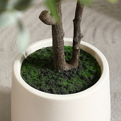 VeriNatural 6FT Faux Eucalyptus Tree with Plastic Pot, Artificial Eucalyptus Plant for Home Decor
