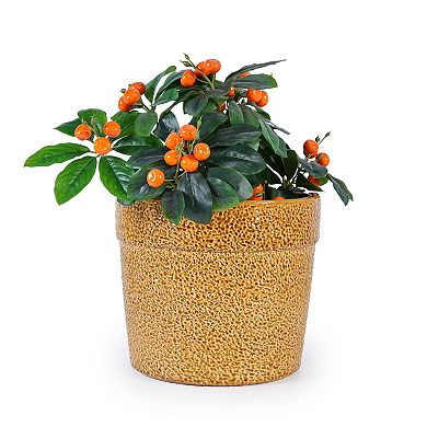 KWPZQEB Breathable Clay Planter Set of 3, Ceramic Planter Set for Indoor, Windowsill, Bookshelf