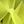 Genuine Peridot