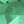 Created Emerald