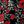 Black Red Rose Print
