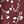 Burgundy Floral Print