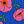 Blue Pink Floral