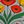 Grey Poppy Floral