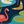 Navy Pink Flamingo