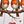 Orange Robin Hearts