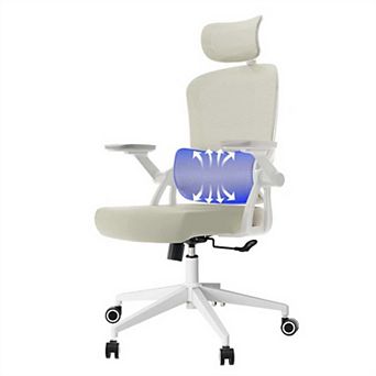 Loheer High Back Ergonomic Mesh Office Chair with Adjustable Headrest and Lumbar Support