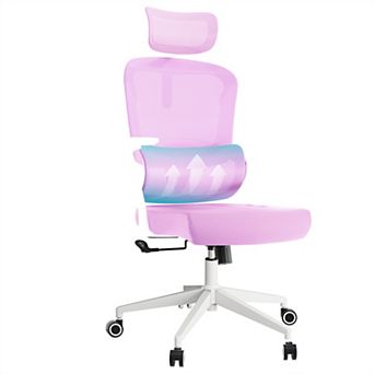 Loheer High Back Ergonomic Mesh Office Chair with Adjustable Headrest and Lumbar Support