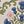 Blue Thistle Floral