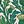 Green Thistle Pattern