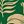 Green Tropical Floral