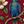 Red Parrot Floral