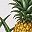 Yellow Pineapple