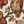 Beige Owl Pattern