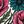 Pink Teal Floral