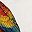 Red Parrot Design