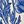 Blue Poppy Floral