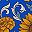 Blue Sunflower