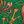 Green Pomegranate