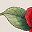 Red Camellia Floral