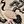 Beige Crane Motif