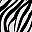 Black Zebra Print