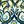 Blue Green Damask