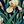 Navy Iris Floral