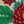 Red Green Floral