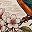 Teal Bird Floral