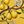 Yellow Bird Floral