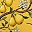 Yellow Bird Floral