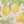 Yellow Lemon Print