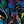 Black Multi