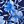 Blue Floral