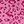 Hot Pink Leopard