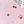 Pink Cherry