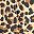 Leopard Print